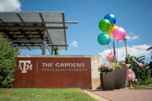 Balloons decorate The Gardens
