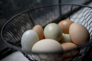 Black wire basket of different colored eggs