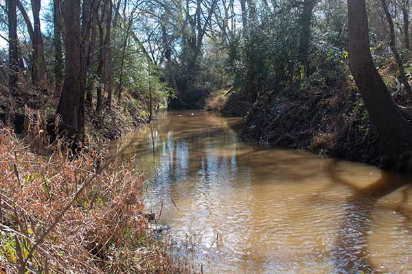 Middle Yegua Creek watershed protection meeting July 9 in Giddings