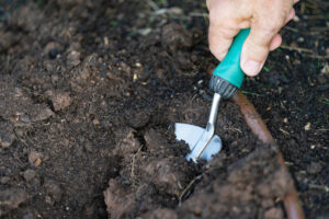 A person is digging soil with a trowel.