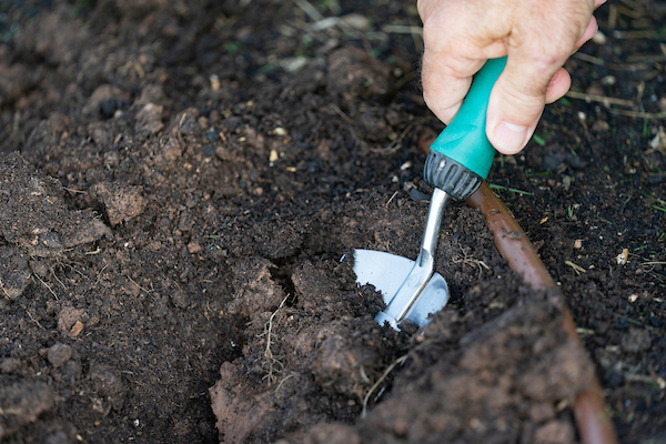 Samples now accepted for Harrison County soil testing drive