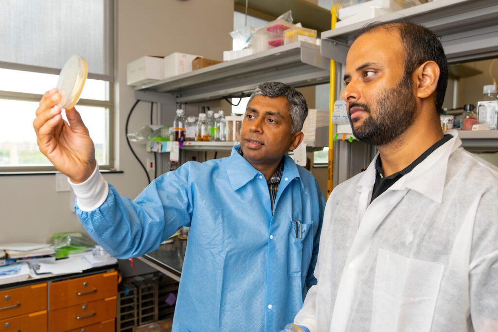 Two men, Vishal Gohil and Mohammad Zulkifli stand in a biology lab examining a Petri dish that Gohil is holding. The man on the left is wearing a blue lab coat and the one of the right is wearing a white lab coat. 