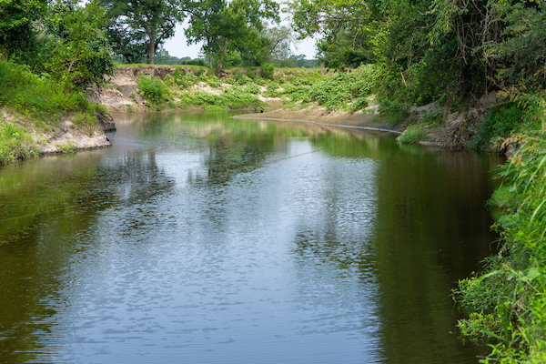 Liming and clearing ponds topic of Aug. 20 webinar