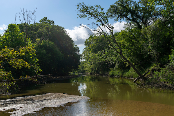 Lone Star Healthy Streams workshop set for Aug. 13 in Wallisville