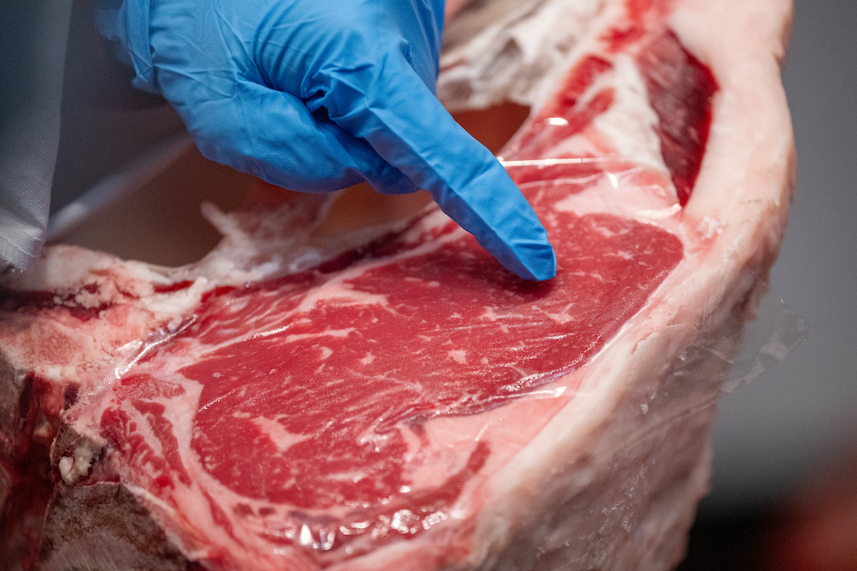 Beef 706 courses offer hands-on training in beef quality