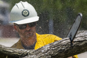 Texas A&M Forest Service employee with white hard hat and yellow shirt uses chainsaw to cut up fallen trees