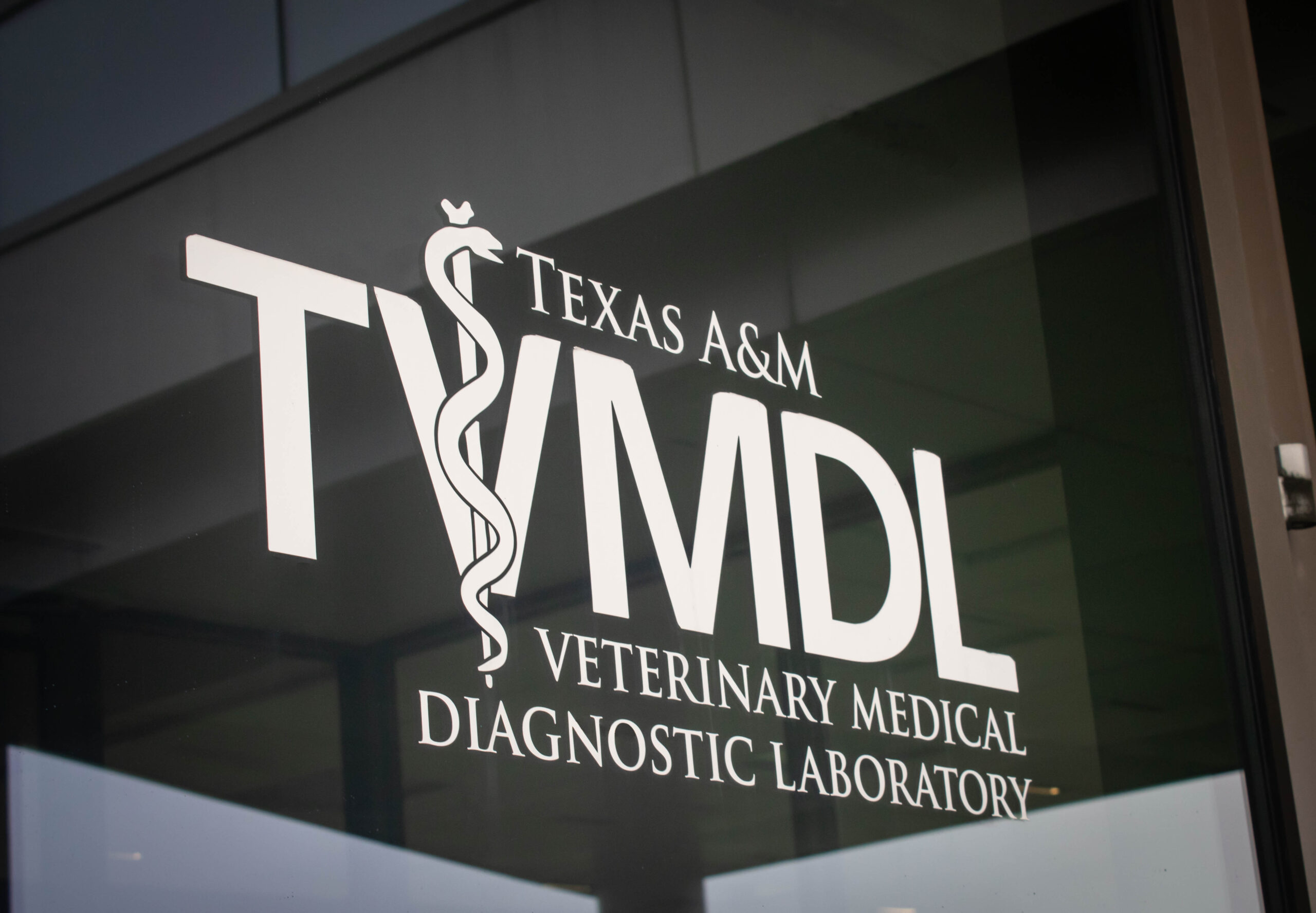 Internationally recognized Texas A&M Veterinary Medical Diagnostic Laboratory leader dies