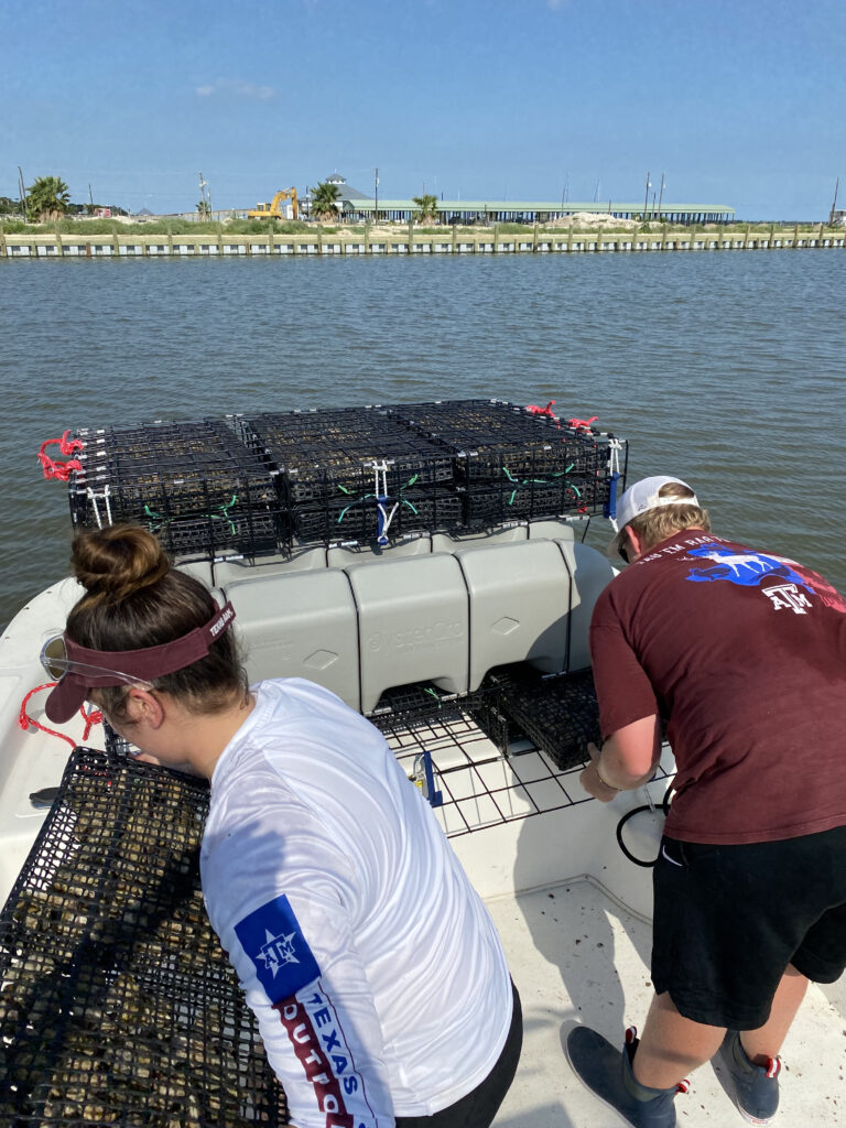 A man and a woman on a boat adjust black cages of oysters. 