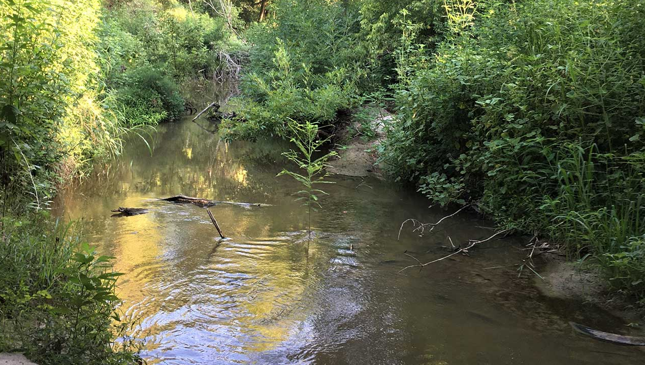 Thompsons Creek watershed protection meeting set for July 31 in Bryan