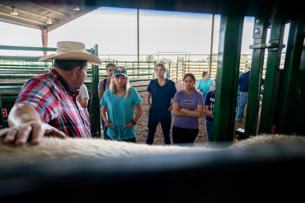 4-H veterinary science students learn from an instructor in a stable