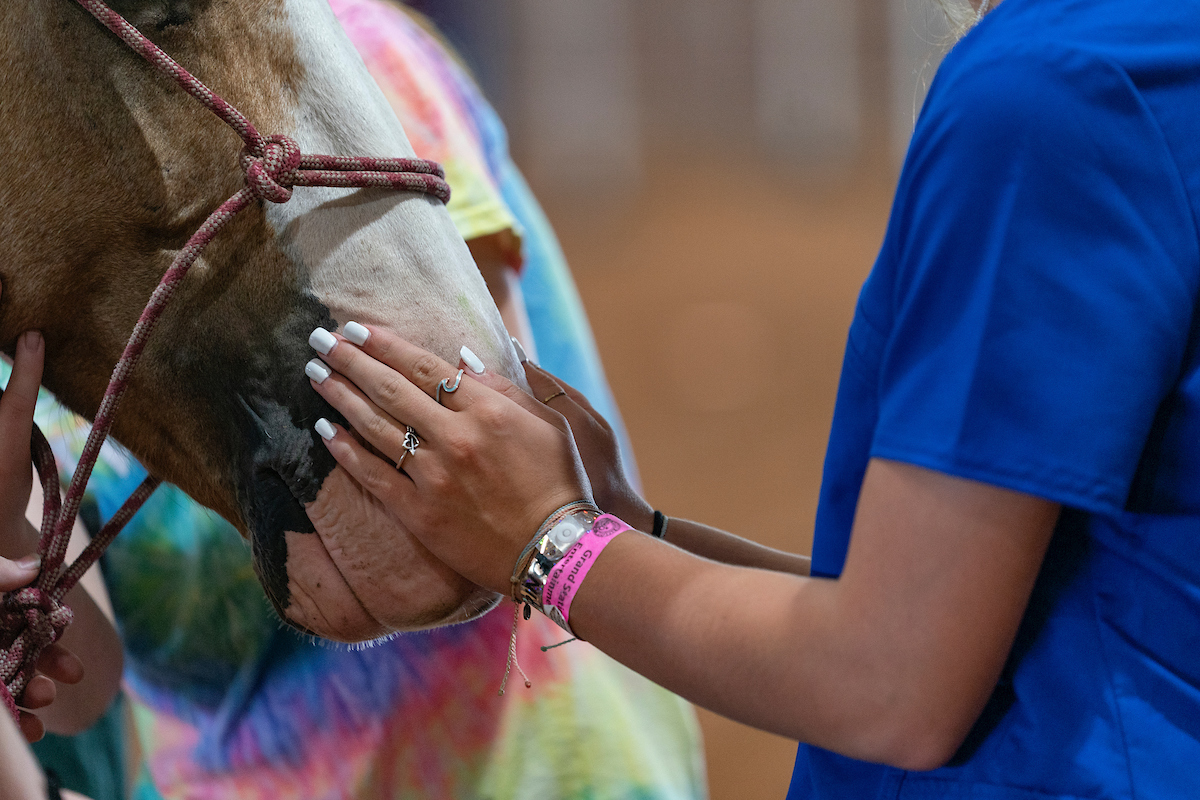 Veterinary Science Certificate Program makes job-ready high school graduates