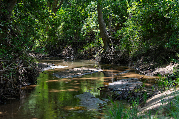 A creek with trees lining its banks in Bellville, Texas.