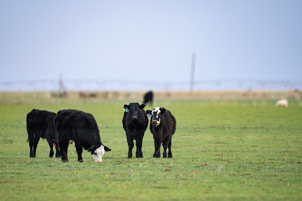 Estate planning workshop for agricultural producers will be Aug. 27