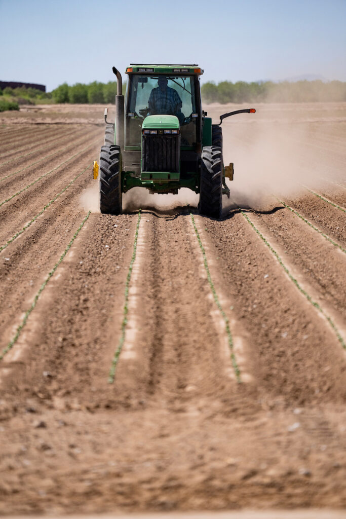 a tractor goes through a field with young plants and lots of soil showing, working on conservation practices