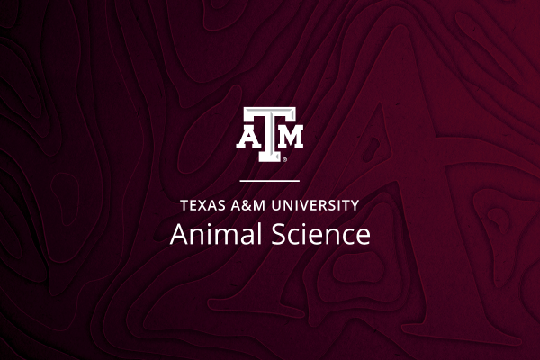 Texas A&M animal science expertise leads at international conference