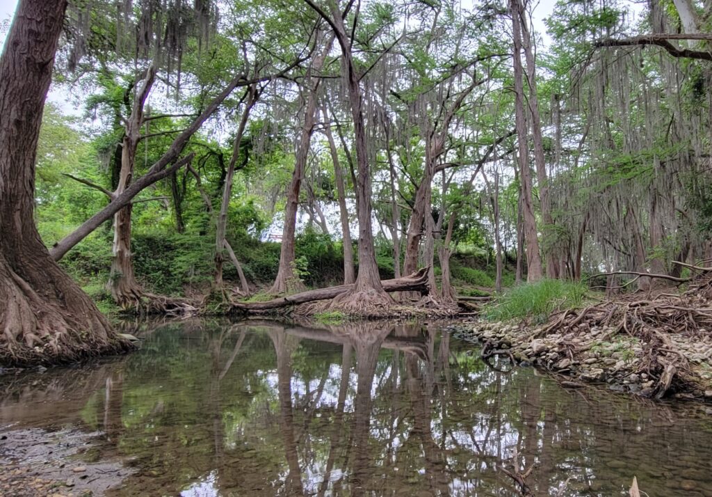 a quiet stream of water flowing through trees - Medina River.