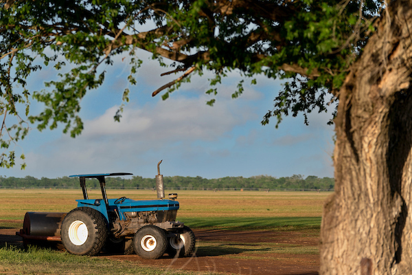 Fourth annual McLennan County Harvest Celebration Sept. 26 in Crawford