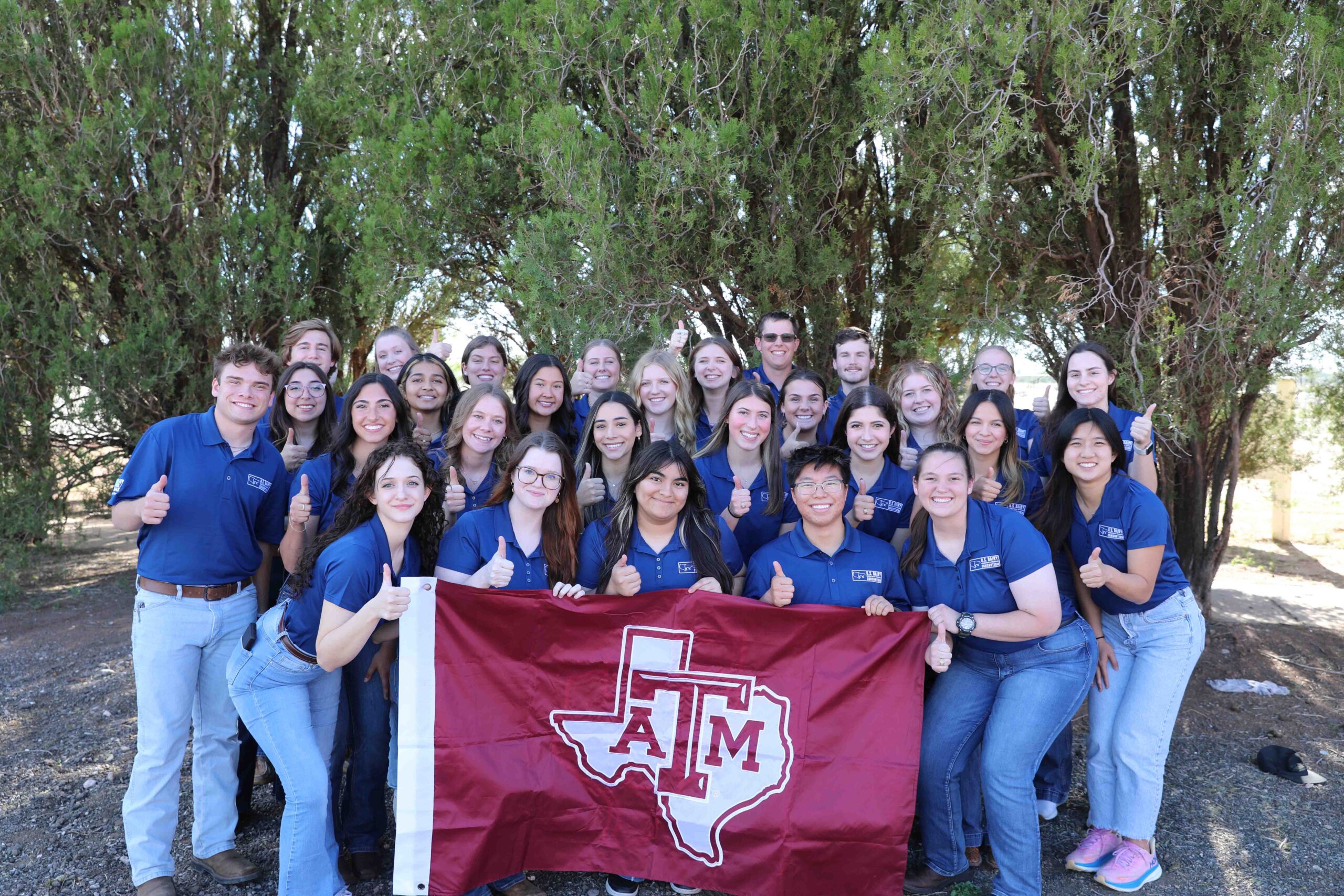 Connecting students to the dairy industry