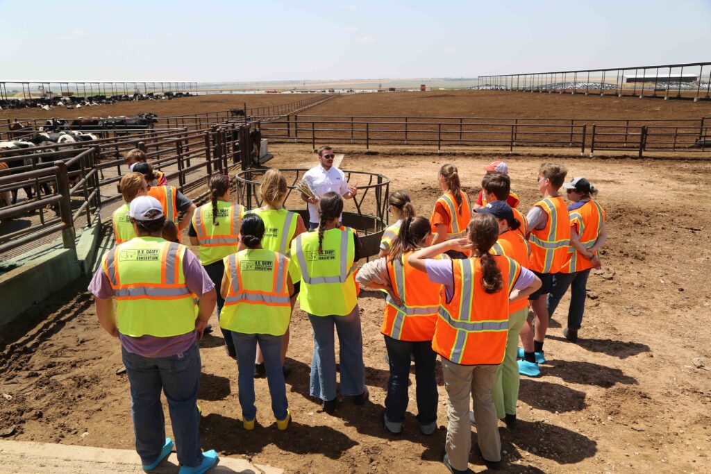 two groups of students, some in orange vests and some in yellow vests with their backs to the camera with a man in front of them in a white shirt. They are outside on a dairy