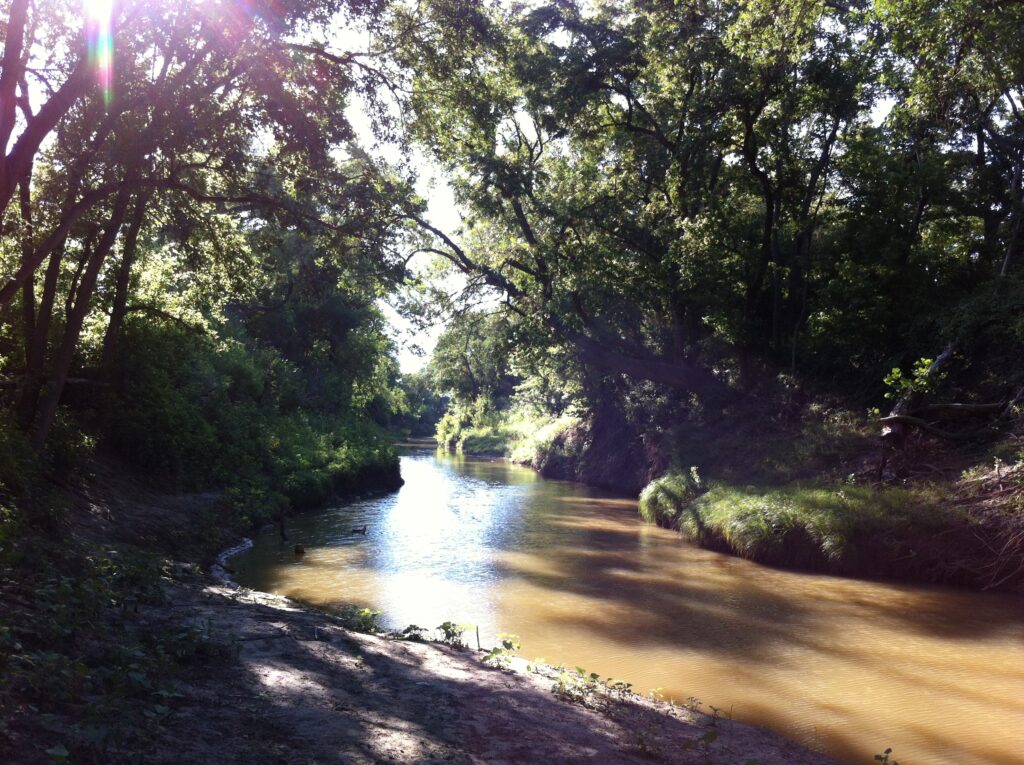 The Leon River running through tree-lined banks