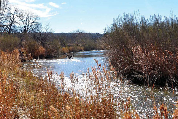 Cypress Creek, Blanco River water quality training set for Sept. 24 in Wimberley