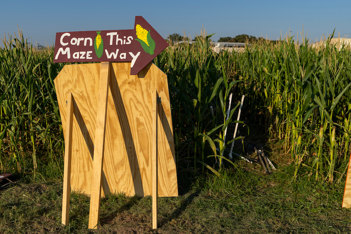 A sign sitting atop a large wood square says Corn Maze This Way